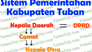 Skema Pemerintah Tuban